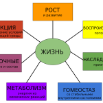 Что такое активизм: определение понятия, суть, виды и примеры