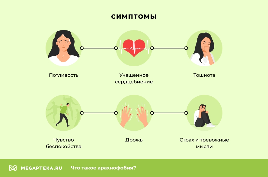 Что такое арахнофобия: определение термина, суть страха и причины