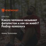Что такое фатализм: определение понятия, суть и примеры, кто такой фаталист
