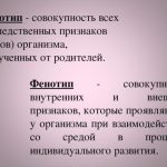 Что такое генотип и фенотип: определение понятий, суть и примеры