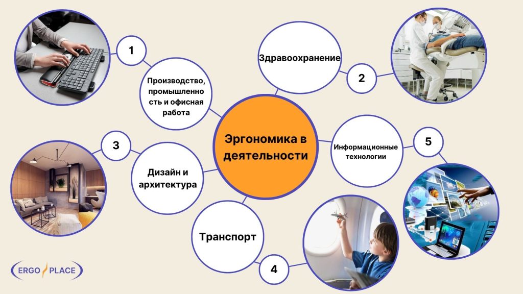 Что такое эргономика: определение термина, суть и особенности дизайна