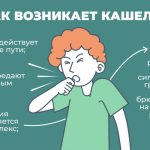 Что такое кашель: определение понятия, суть, виды, причины и профилактика