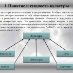 Что такое культура: определение понятия, виды, признаки и примеры из жизни