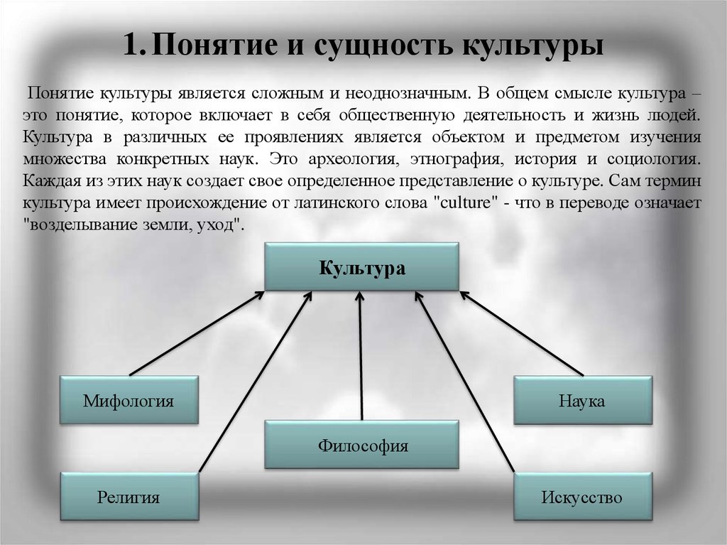 Что такое культура: определение понятия, виды, признаки и примеры из жизни