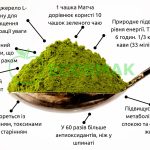 Что такое матча: определение понятия, суть, виды, вкус и польза