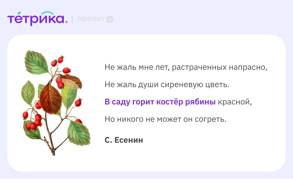 Что такое метафора: определение простыми словами и её значение в литературе