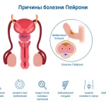 Что такое минет: определение, суть процесса, виды и советы как правильно делать