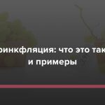 Что такое шрингфляция: определение понятия, даунсайзинг и примеры