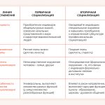 Что такое социализация: определение понятия, суть, этапы и процесс