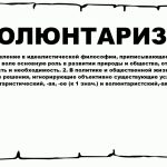 Что такое волюнтаризм: определение понятия, суть и примеры