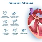 Что такое витамины для сердца: определение понятия, суть и виды