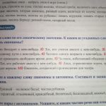 Что такое визави: определение понятия, суть и синонимы