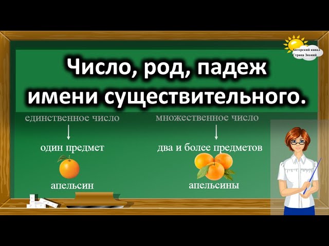 Что такое имя существительное: определение, роды, склонения и падежи