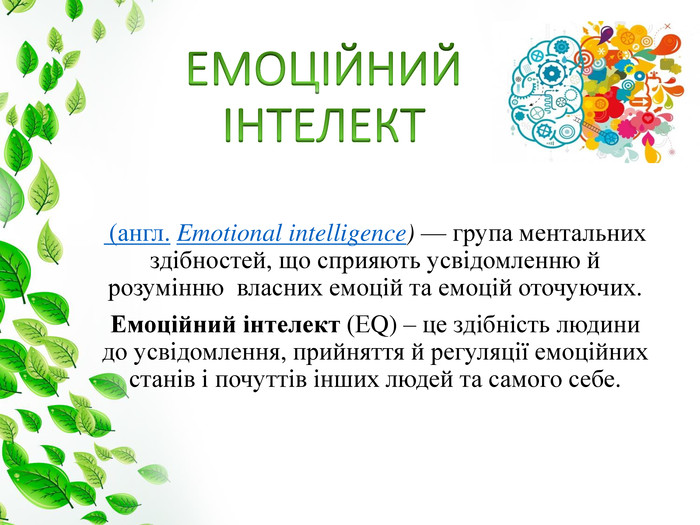 ЕМОЦІЙНИЙ ІНТЕЛЕКТ – це що таке, термін, визначення, суть, ознаки