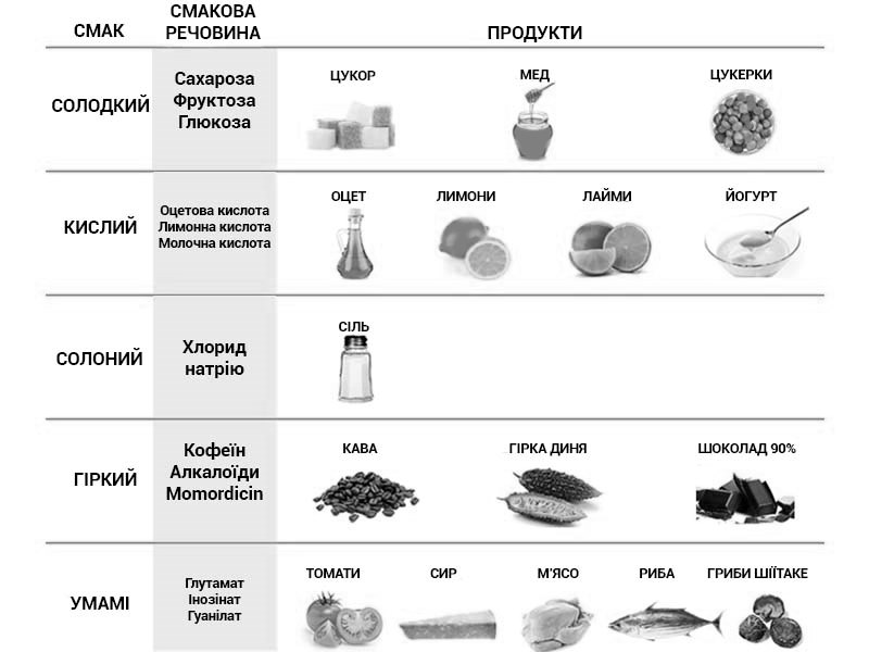 УМАМІ (Umami) – це що таке, слово, визначення, п’ятий смак, склад