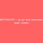 ВИГОРАННЯ — це що таке, визначення, види, ознаки і причини