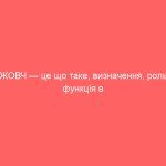 ЖОВЧ — це що таке, визначення, роль і функція в організмі