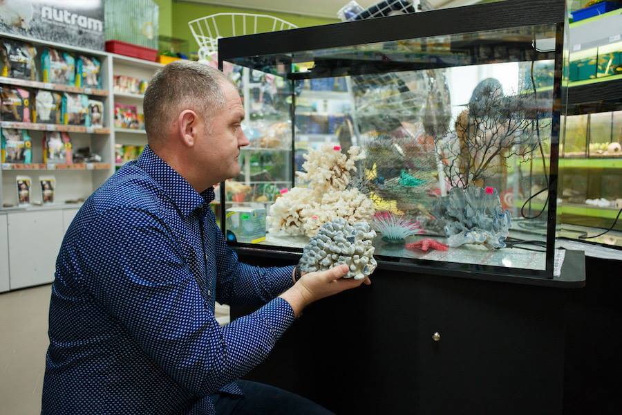 Хто такий Художник-декоратор: Опис професії, зарплата, де вчитись