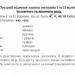 Хто такий Міколог: Опис професії, зарплата, де вчитись