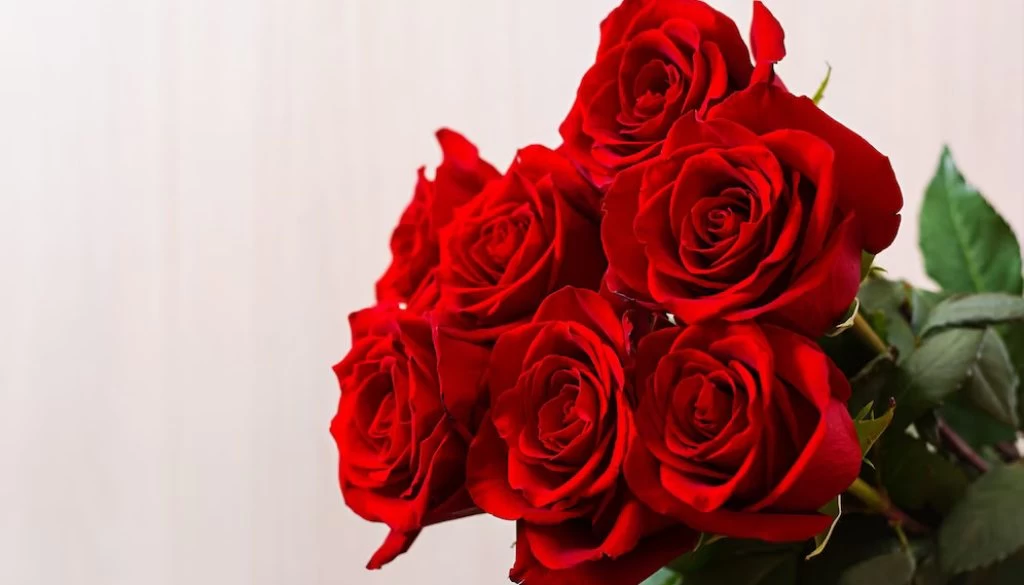 Как часто менять воду розам?