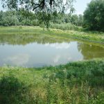 Какой штраф за незаконно выкопанный пруд