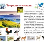 Національна тварина України: Символи України