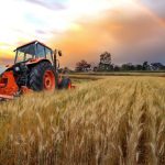 Сколько стоит поставить трактор на учет