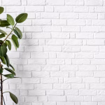 білі шпалери на стіну