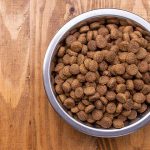 Где купить сухой корм для собак: советы от лидера рынка “BestPet”