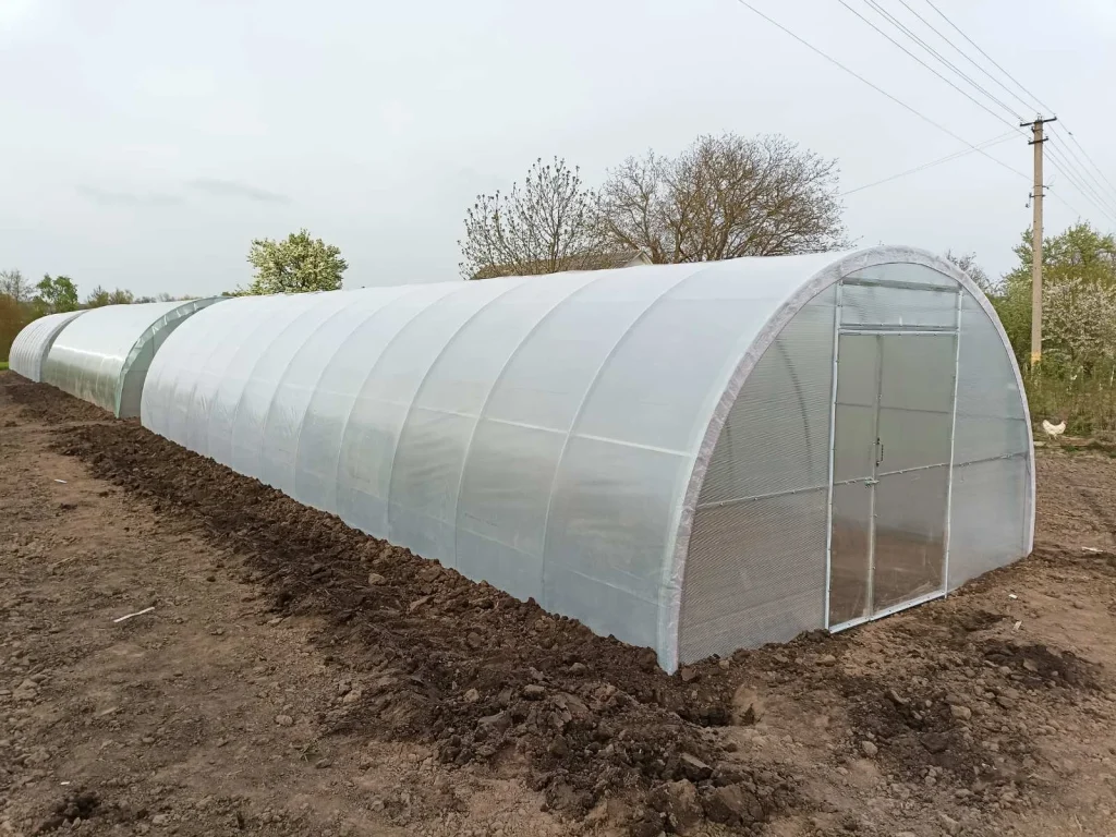 Теплиця під плівку як «план Б» від погоди: як зібрати стабільний сезон без зайвих витрат