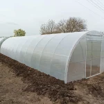 Теплиця під плівку як «план Б» від погоди: як зібрати стабільний сезон без зайвих витрат
