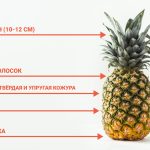 Как выбрать ананас — зерна, обжарка и интенсивность аромата