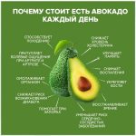 Как выбрать авокадо — состав, свежесть и польза для здоровья