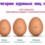 Как выбрать яйца — категории, свежесть и маркировка